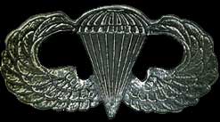Airborne Bronze Plaque