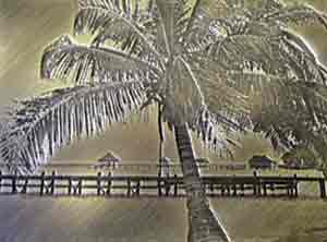 Bronze Picture of a palm tree in Belize
